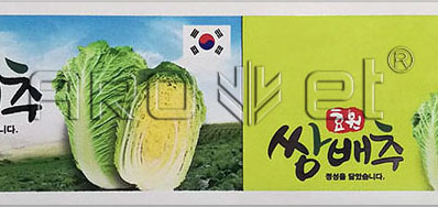 ���ݱ��� �ϲ�εĲ�ɫͼ�������