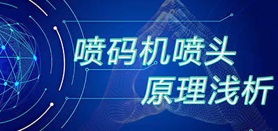 ��֪ʶ���������ͷԭ��ǳ��