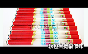 AS-16/32 �����ɱ�������ӡϵͳTechnical Parameters