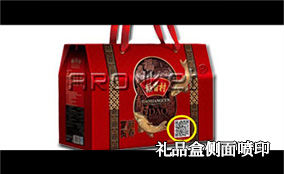 C3/C7 ����ɱ�������ӡϵͳ���ղ���Technical Parameters