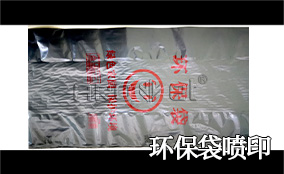 R3������ʱ�߾�������ӡ�ɱ�������ӡϵͳ Tehnical Parameters