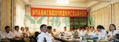 杨艺集团转型进行时——记2015年中汇报会