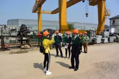 杨艺集团匠心打造景观雕塑型出产基地