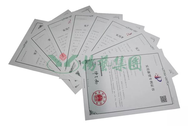 1-220104135G0H2 兰科博弈(RankBet)有限公司官网