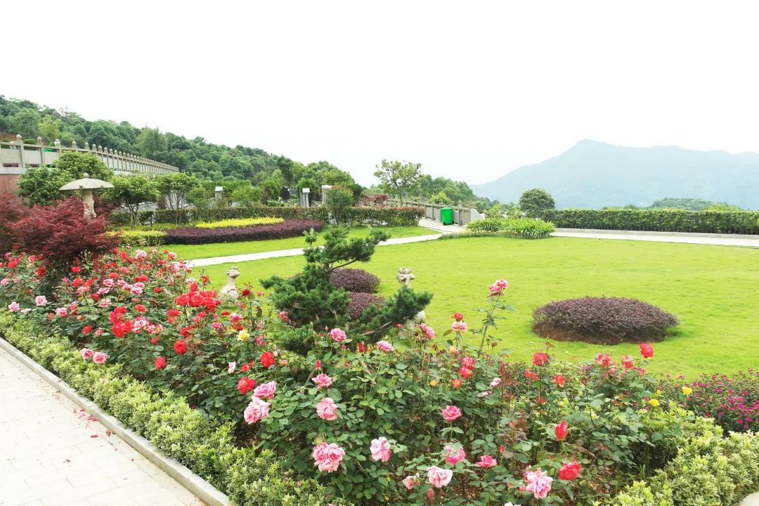 1-220P30T643521 兰科博弈(RankBet)有限公司官网