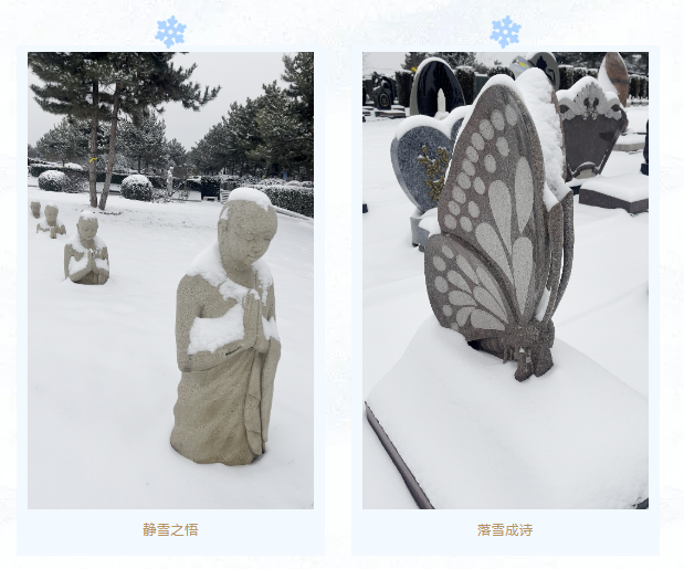 1-2312230T93E25 å…°ç§‘åšå¼ˆ(RankBet)有é™å…¬å¸å®˜ç½‘