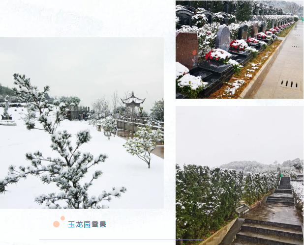 1-2312230T951434 å…°ç§‘åšå¼ˆ(RankBet)有é™å…¬å¸å®˜ç½‘