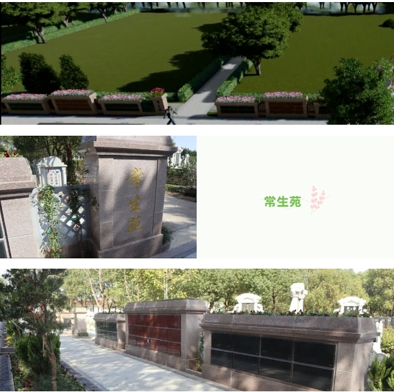 兰科博弈(RankBet)有限公司官网
