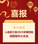喜报|浙江杨艺入选浙江省2023年第四批创新型中幼企业名单