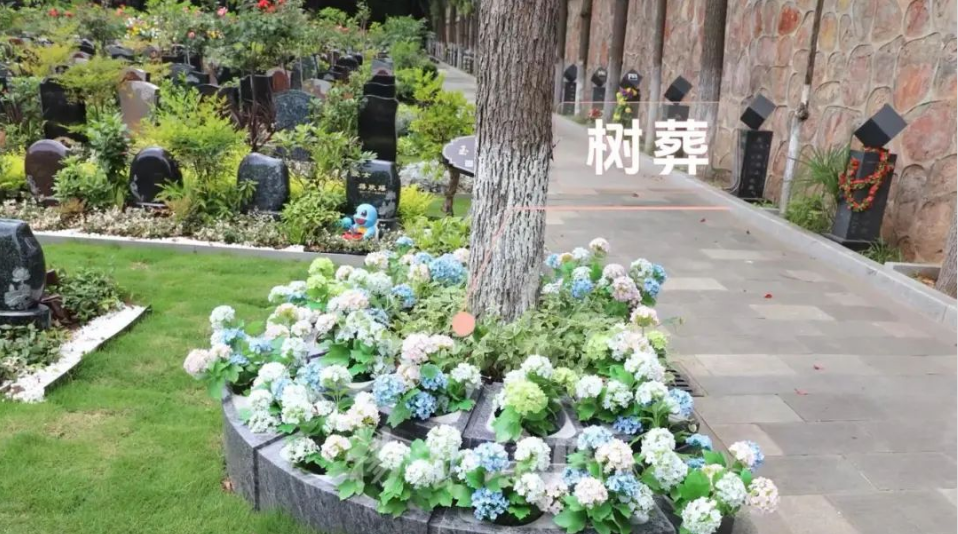 1-240H9143413937 兰科博弈(RankBet)有限公司官网