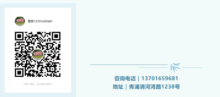 1-240ZG10009162 兰科博弈(RankBet)有限公司官网