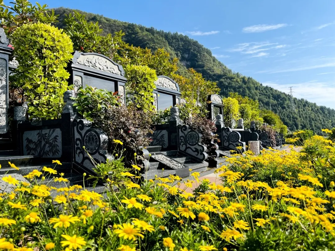 兰科博弈(RankBet)有限公司官网
