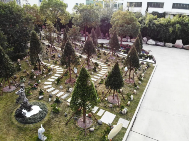 <b>杨艺积极索求绿色生态殡葬, 林地葬受关注</b>