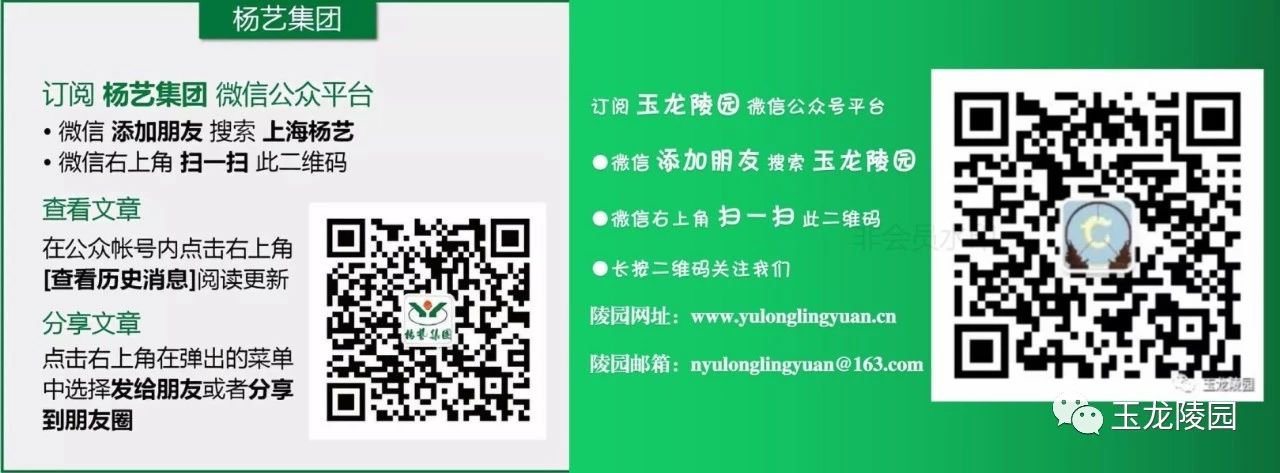 兰科博弈(RankBet)有限公司官网