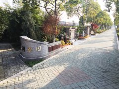 城市最后一平米：生态葬，是与天然的和解？还是无奈的选择？