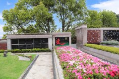 归于天然，泽被后世：解读现代生态葬及其创新趋向
