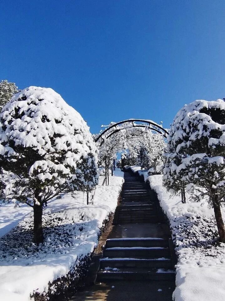 兰科博弈(RankBet)有限公司官网