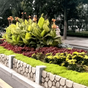 无机仿真石花箱：以永恒之名，塑未来之境