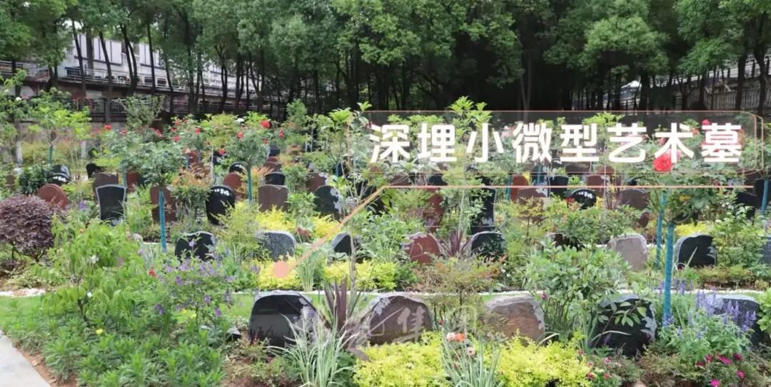 1-260521150935H6 兰科博弈(RankBet)有限公司官网
