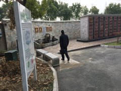 以心为笔，绘就可落地的性命花圃