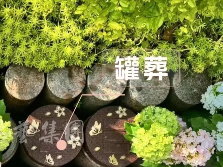 1-260R1143250303 兰科博弈(RankBet)有限公司官网