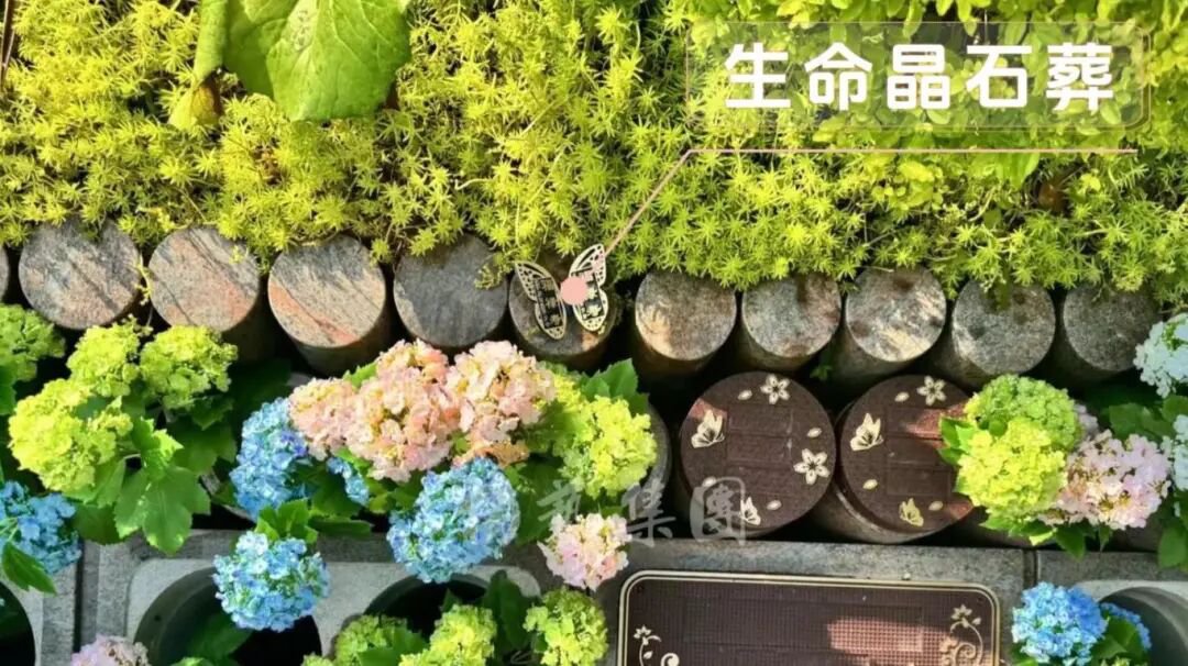 1-260R1143316435 兰科博弈(RankBet)有限公司官网